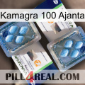 Kamagra 100 Ajanta viagra5